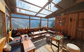 Freebird Nest Jibhi