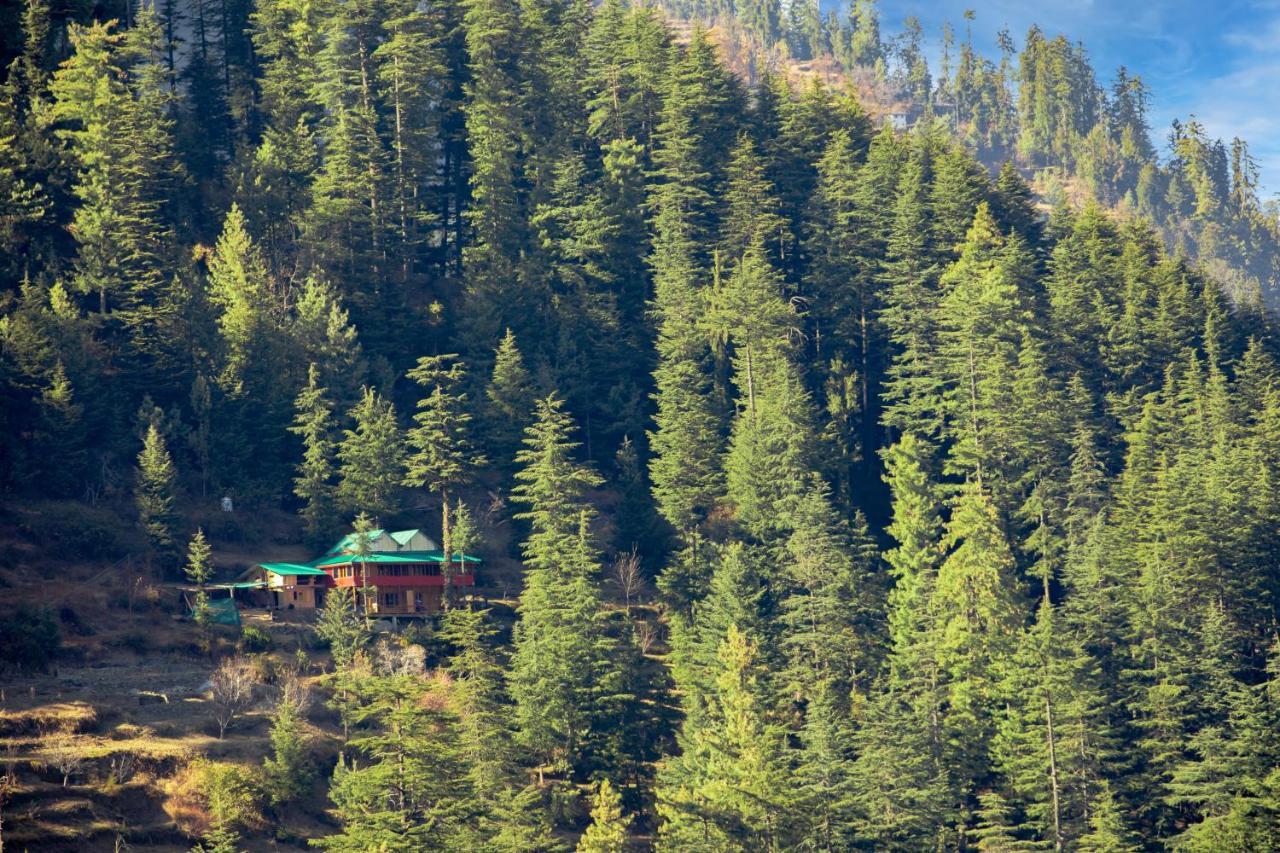 Freebird Nest Jibhi Exterior photo