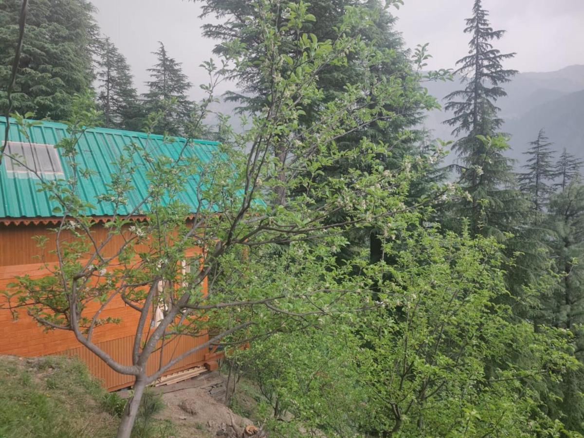 Freebird Nest Jibhi Exterior photo