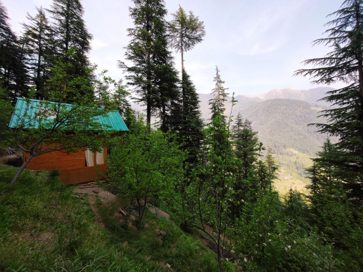 Freebird Nest Jibhi Exterior photo