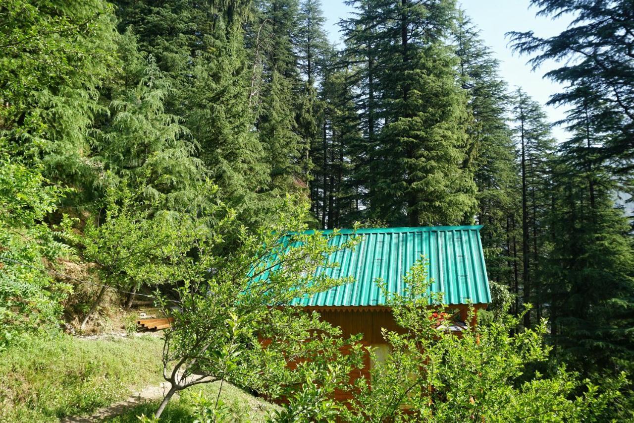 Freebird Nest Jibhi Exterior photo